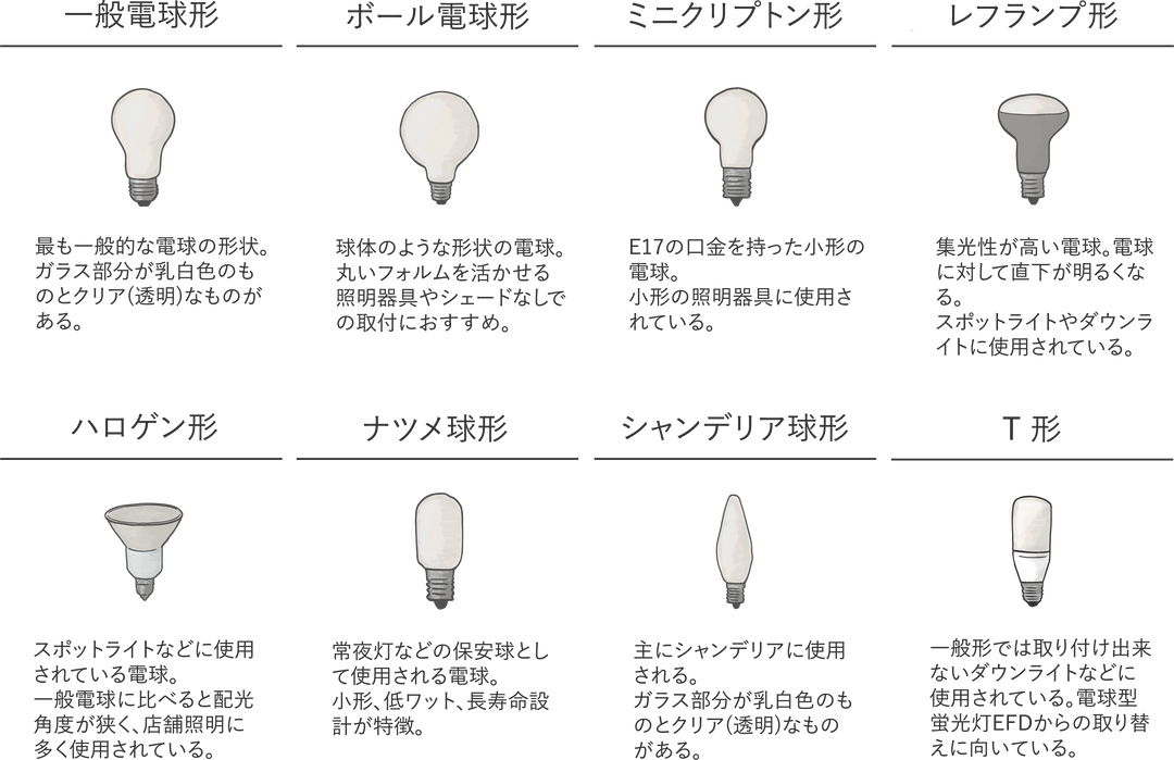 電球の種類と選ぶポイント